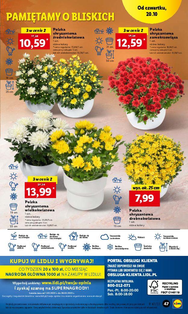 Gazetka promocyjna Lidl str. 55