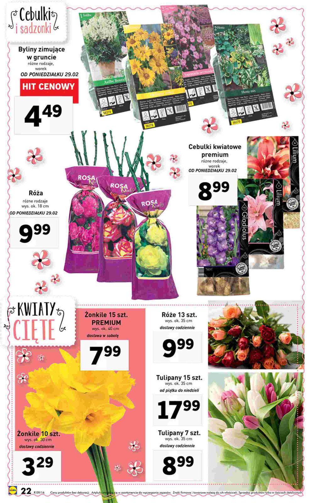 Gazetka promocyjna Lidl str. 22