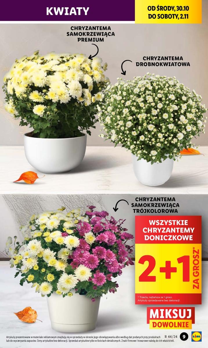 Gazetka promocyjna Lidl str. 34
