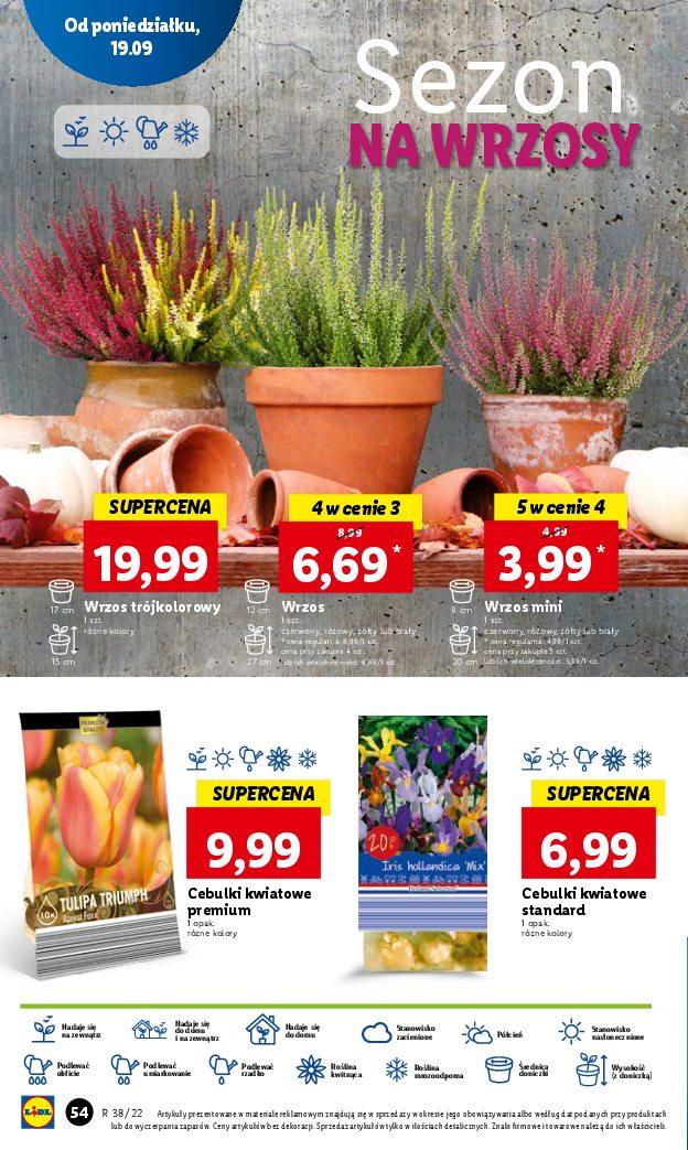 Gazetka promocyjna Lidl str. 54