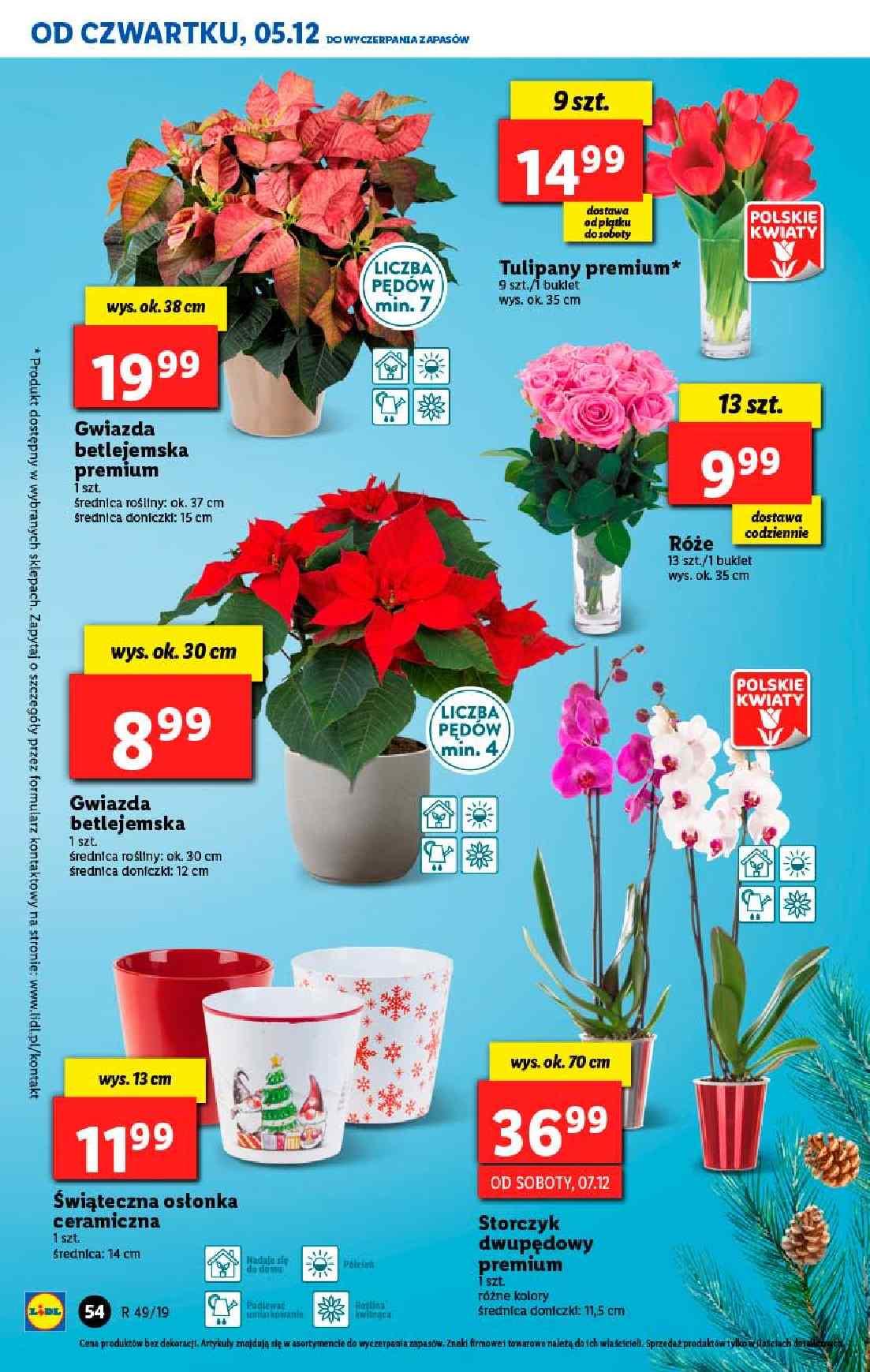 Gazetka promocyjna Lidl str. 54