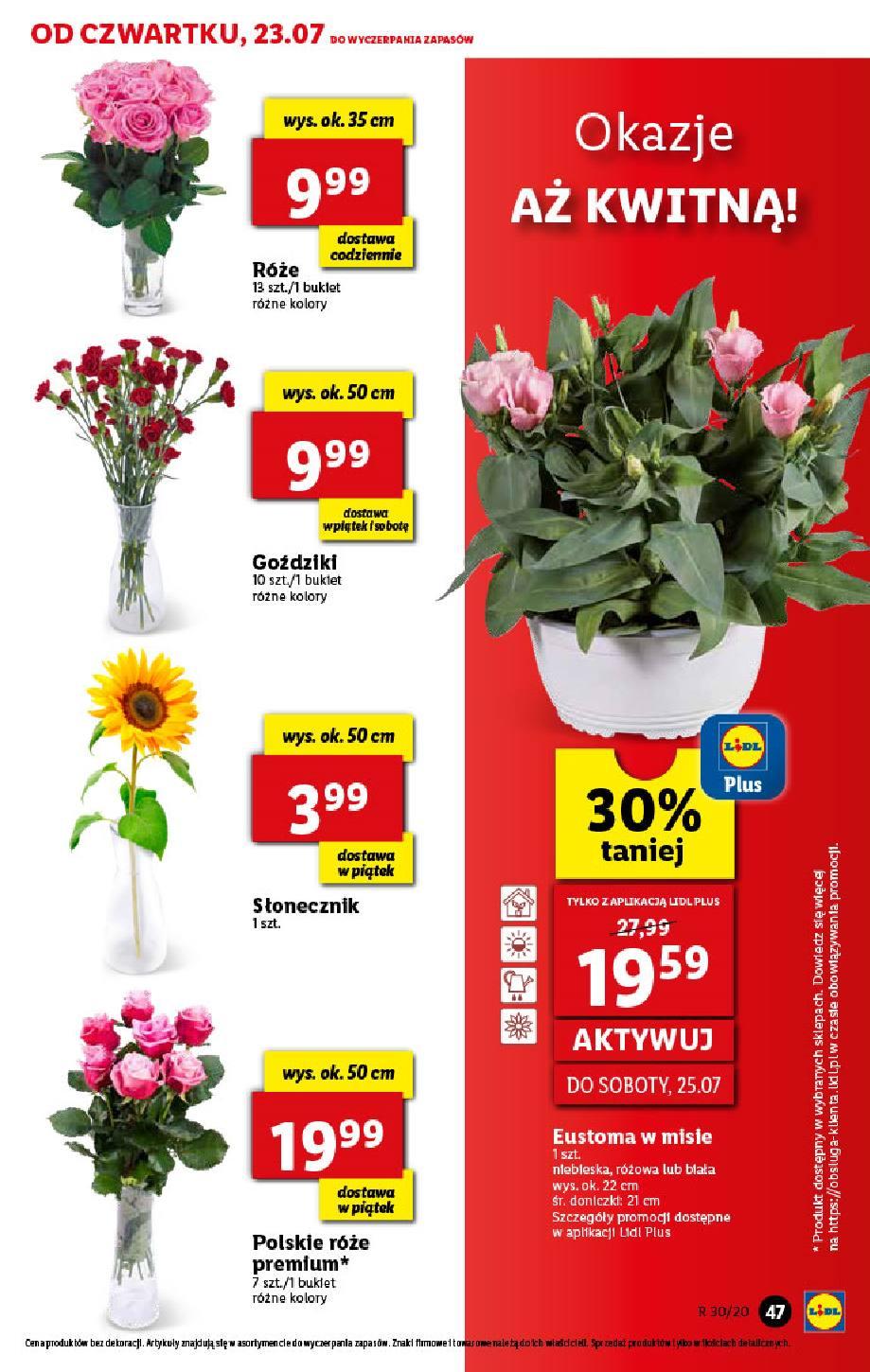Gazetka promocyjna Lidl str. 47