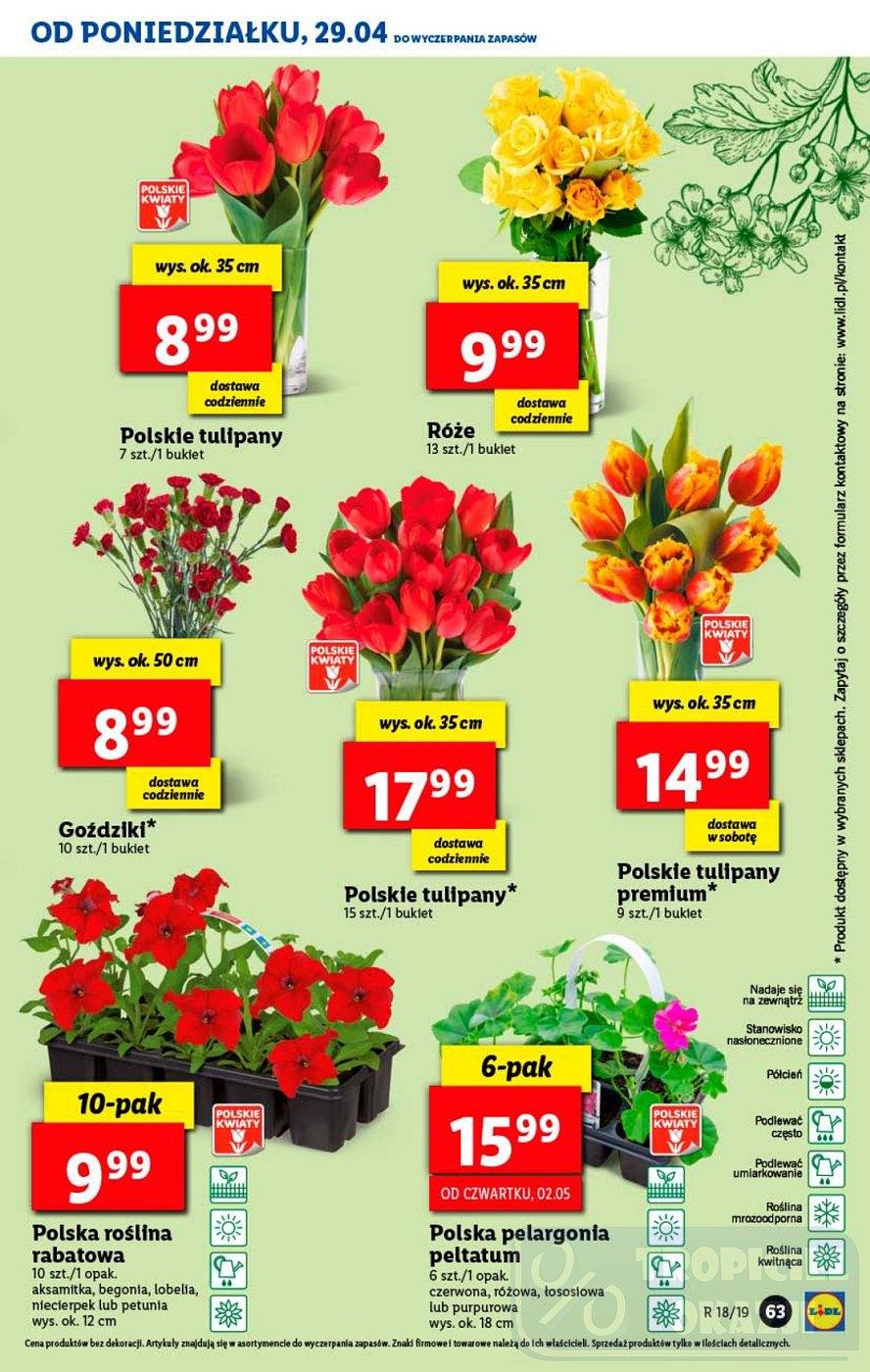 Gazetka promocyjna Lidl str. 63