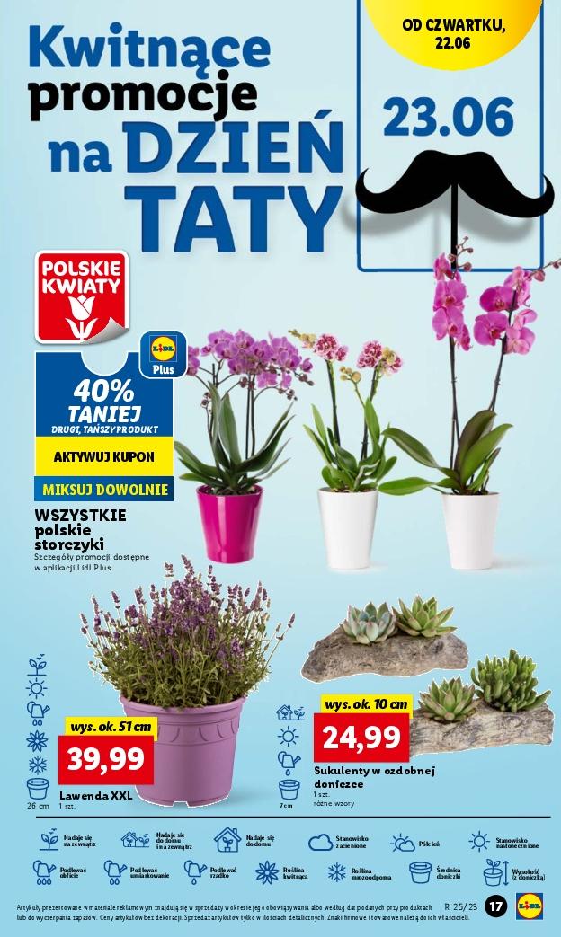 Gazetka promocyjna Lidl str. 21