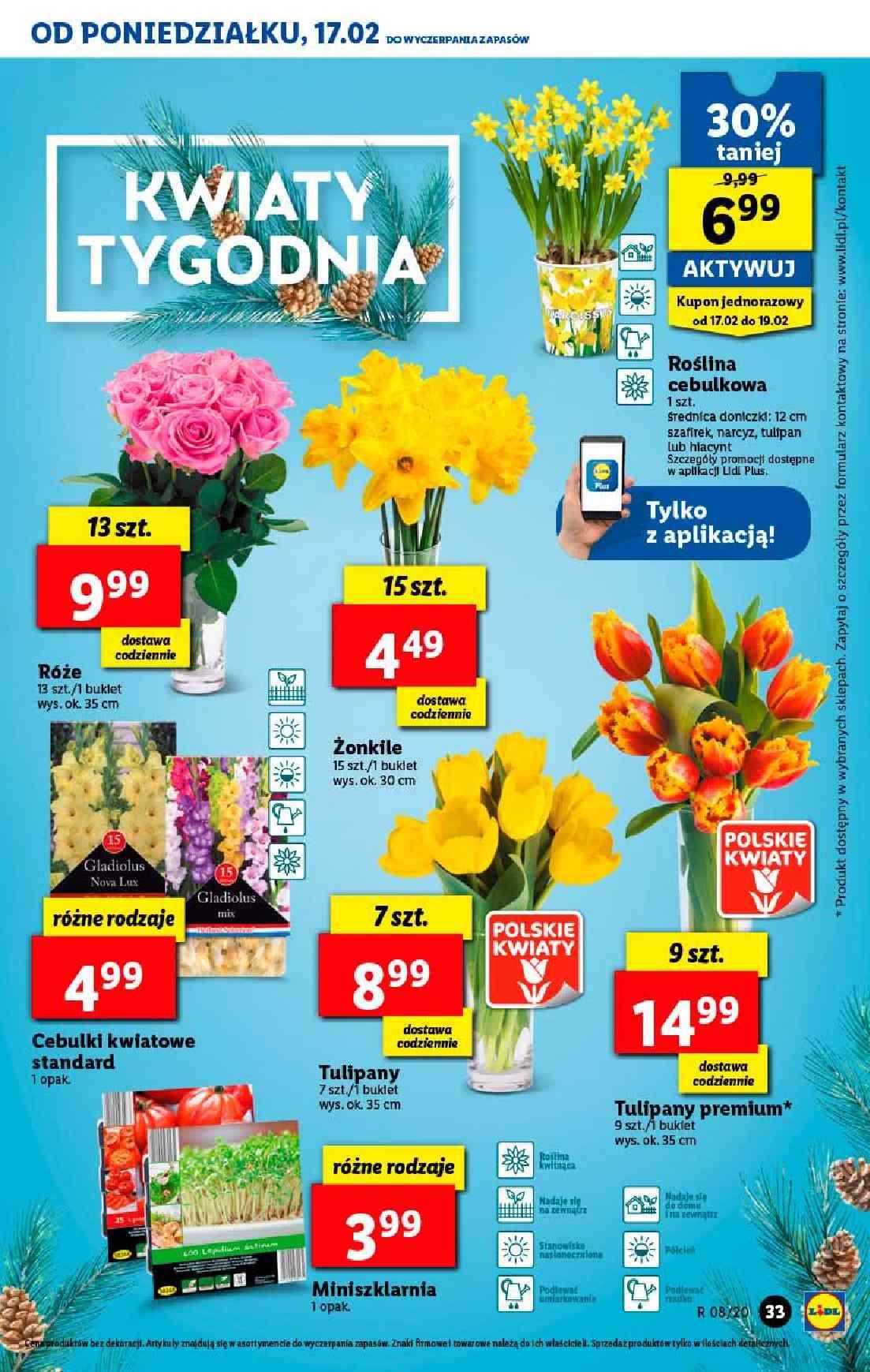 Gazetka promocyjna Lidl str. 33
