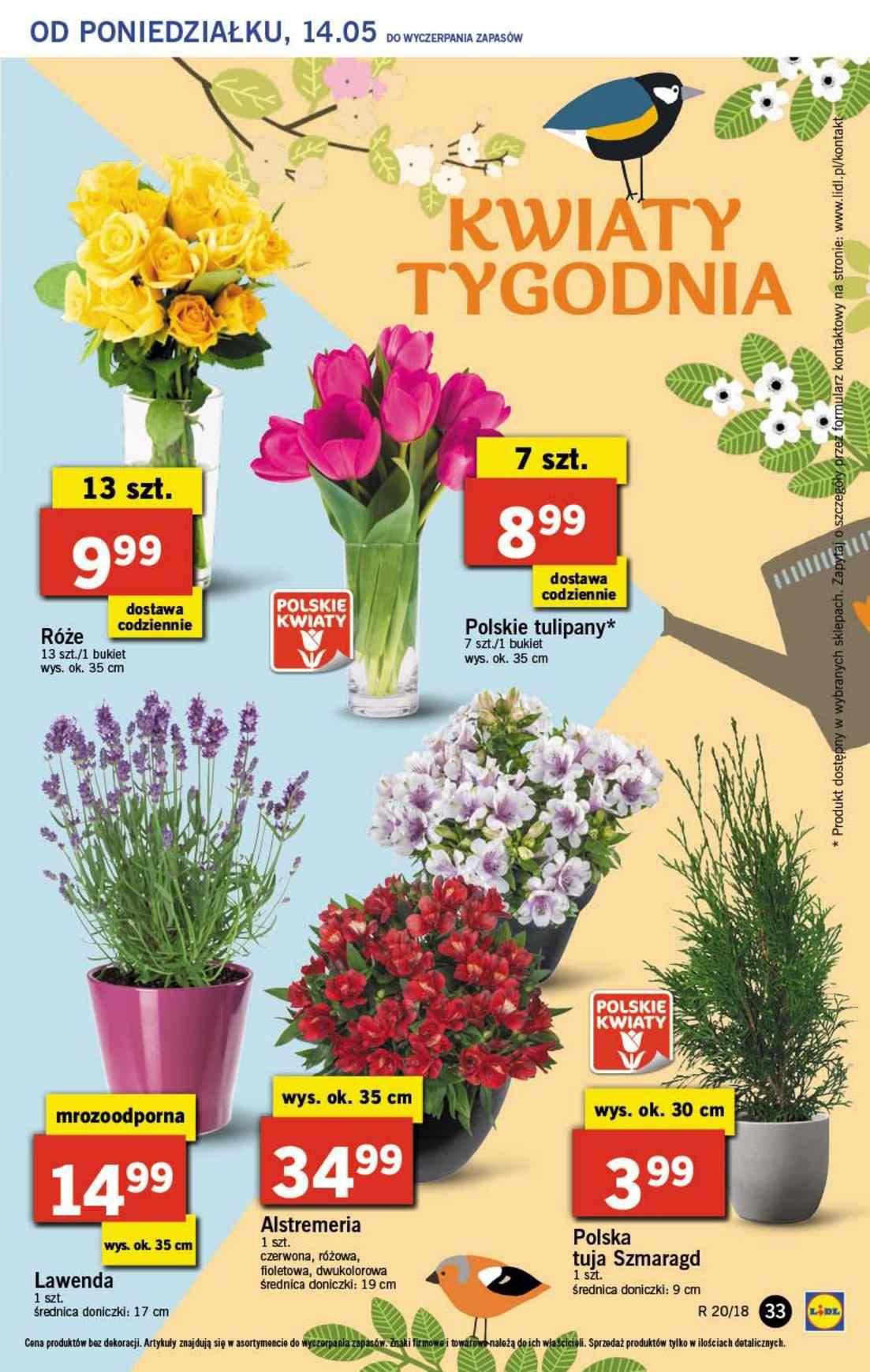 Gazetka promocyjna Lidl str. 33