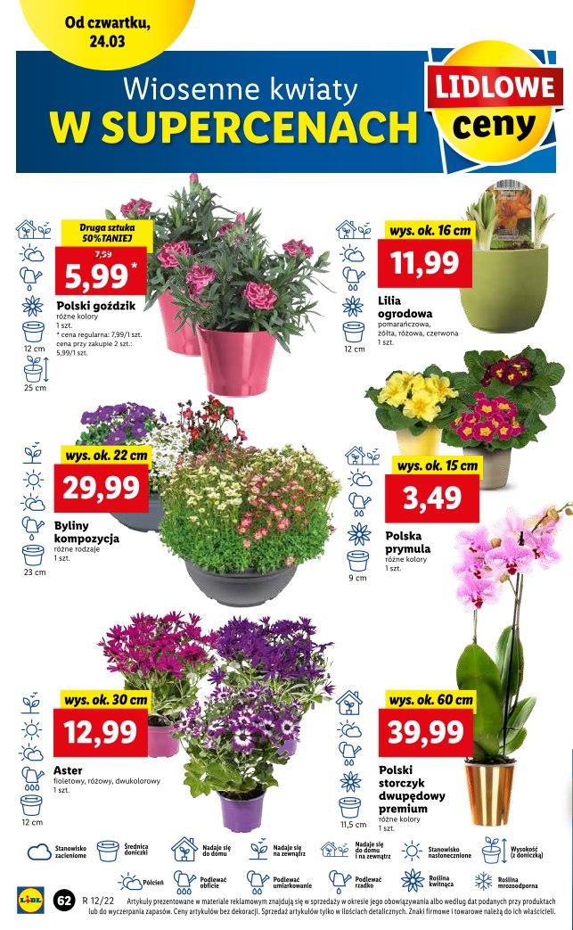 Gazetka promocyjna Lidl str. 62