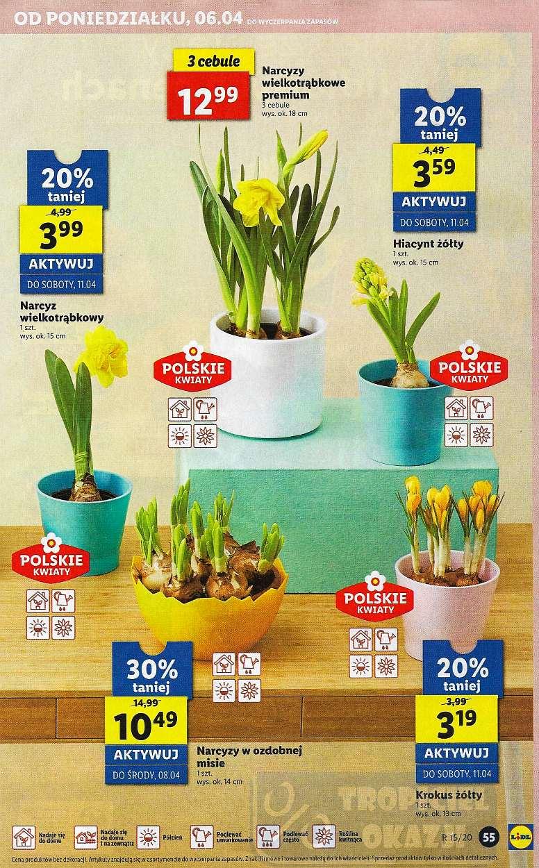 Gazetka promocyjna Lidl str. 55