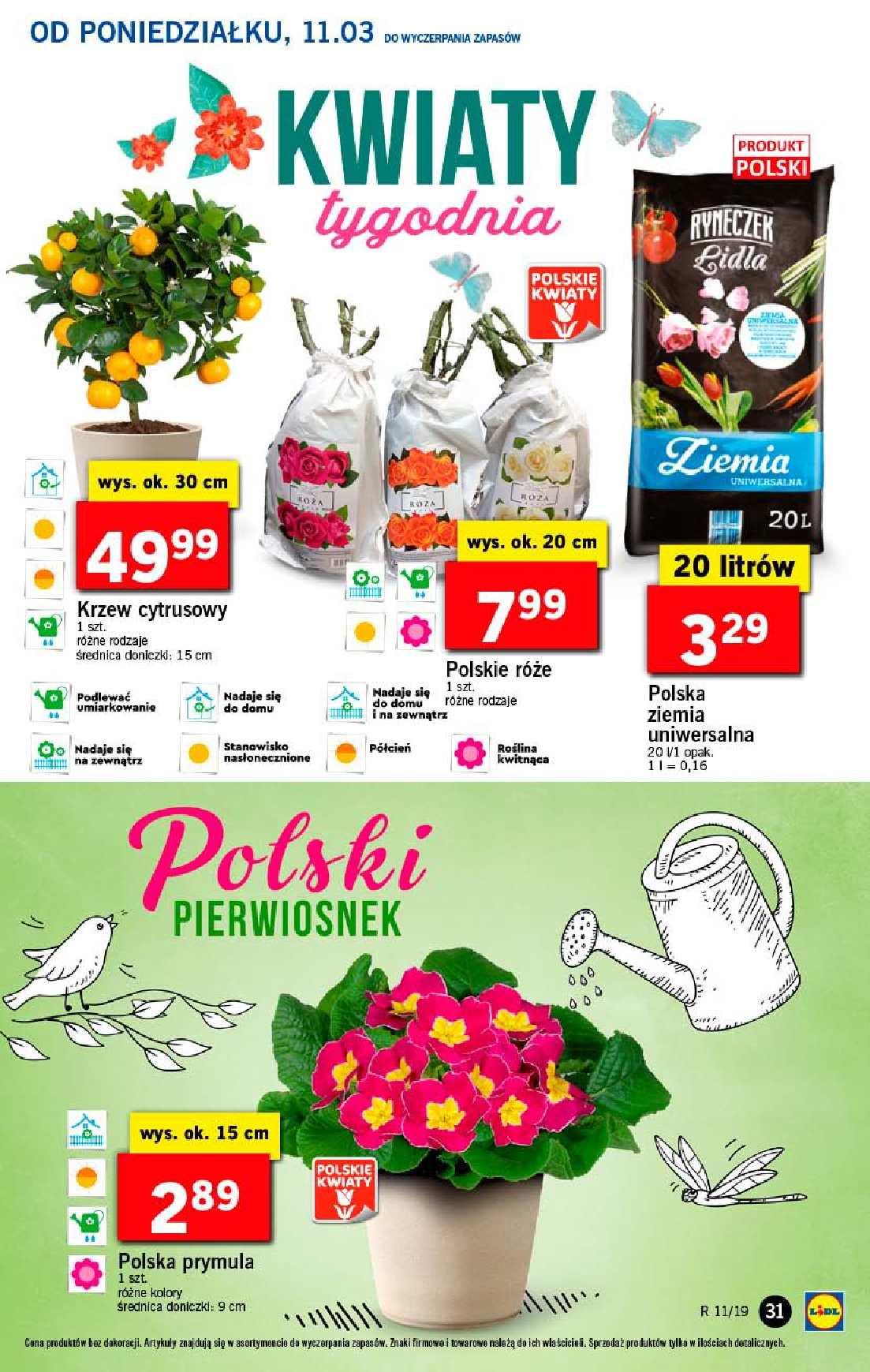 Gazetka promocyjna Lidl str. 31