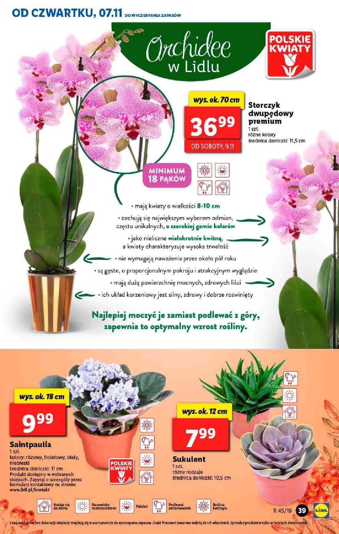 Gazetka promocyjna Lidl str. 39