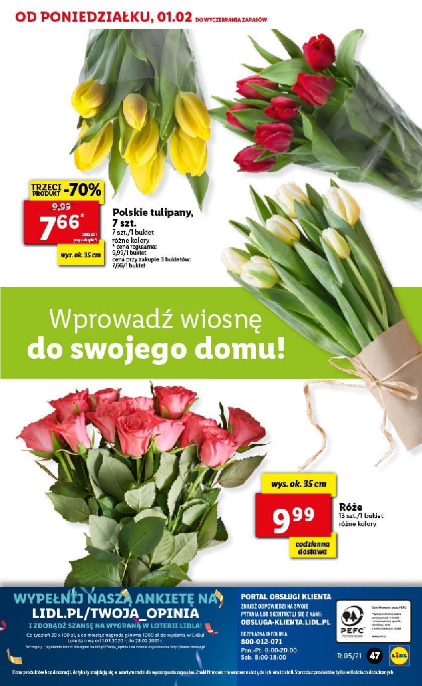 Gazetka promocyjna Lidl str. 47