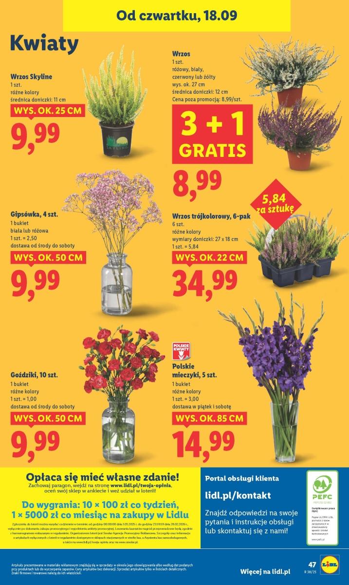 Gazetka promocyjna Lidl str. 55