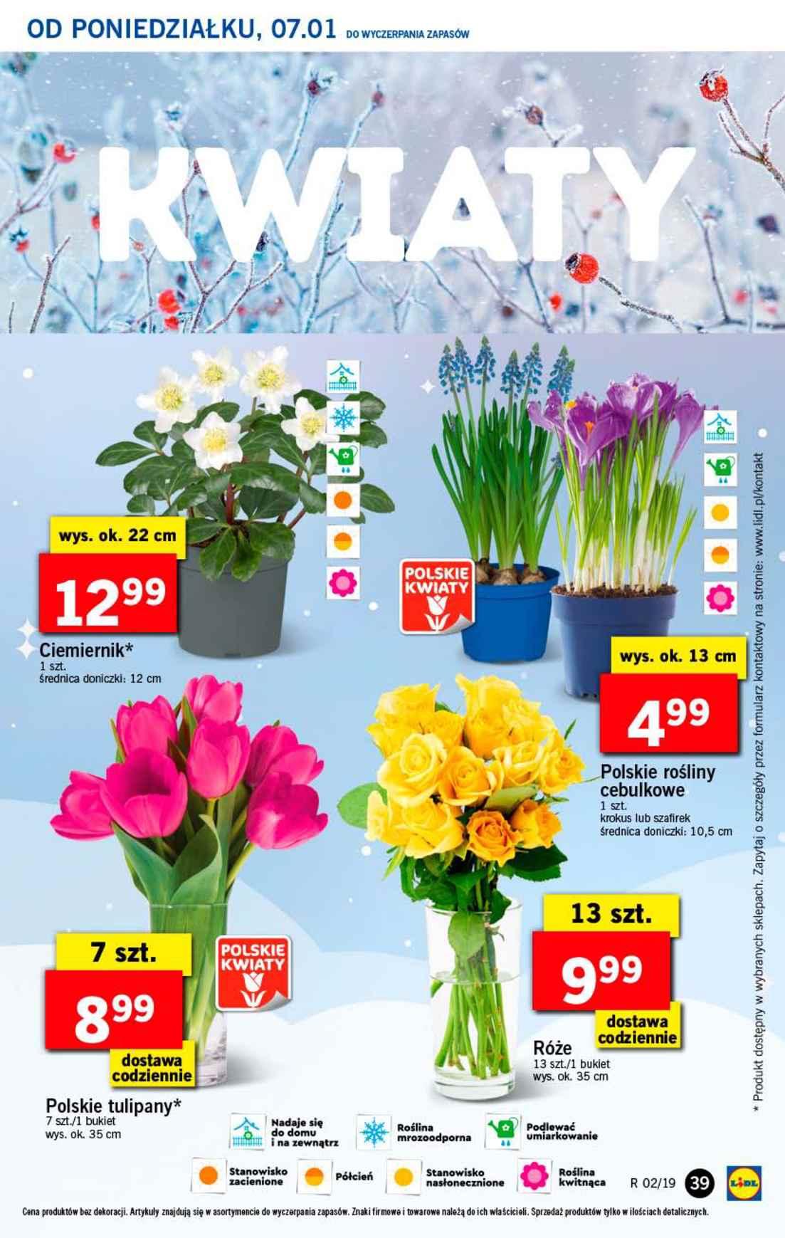 Gazetka promocyjna Lidl str. 39