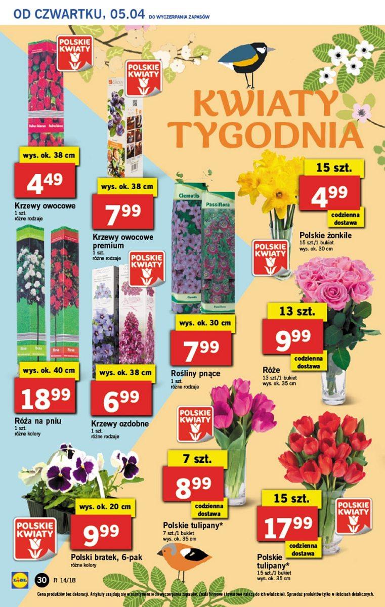 Gazetka promocyjna Lidl str. 30