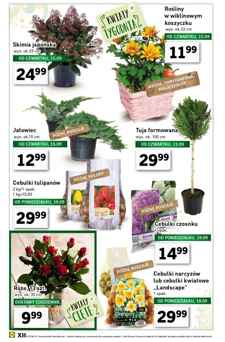 Gazetka promocyjna Lidl str. 12