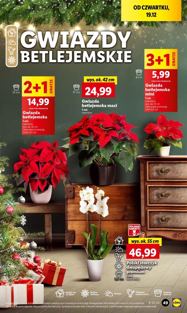 Gazetka promocyjna Lidl str. 55