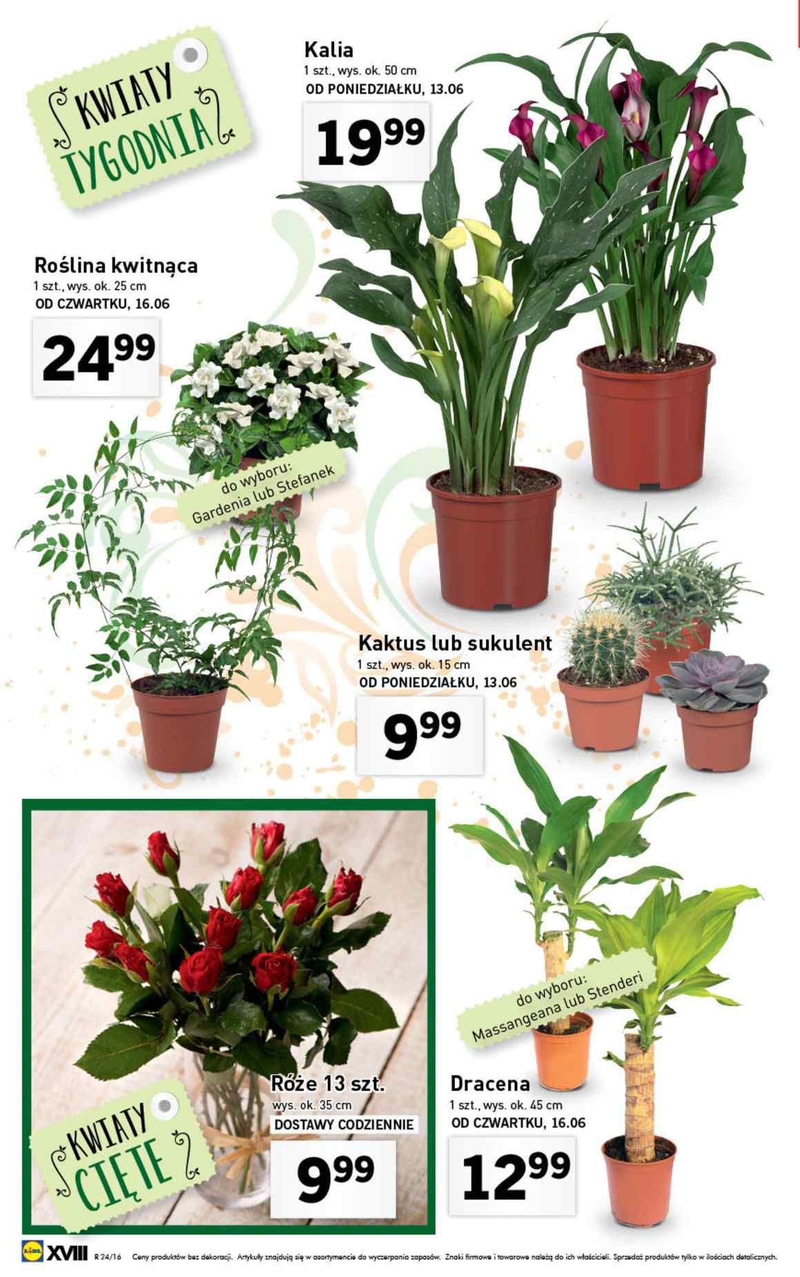 Gazetka promocyjna Lidl str. 18