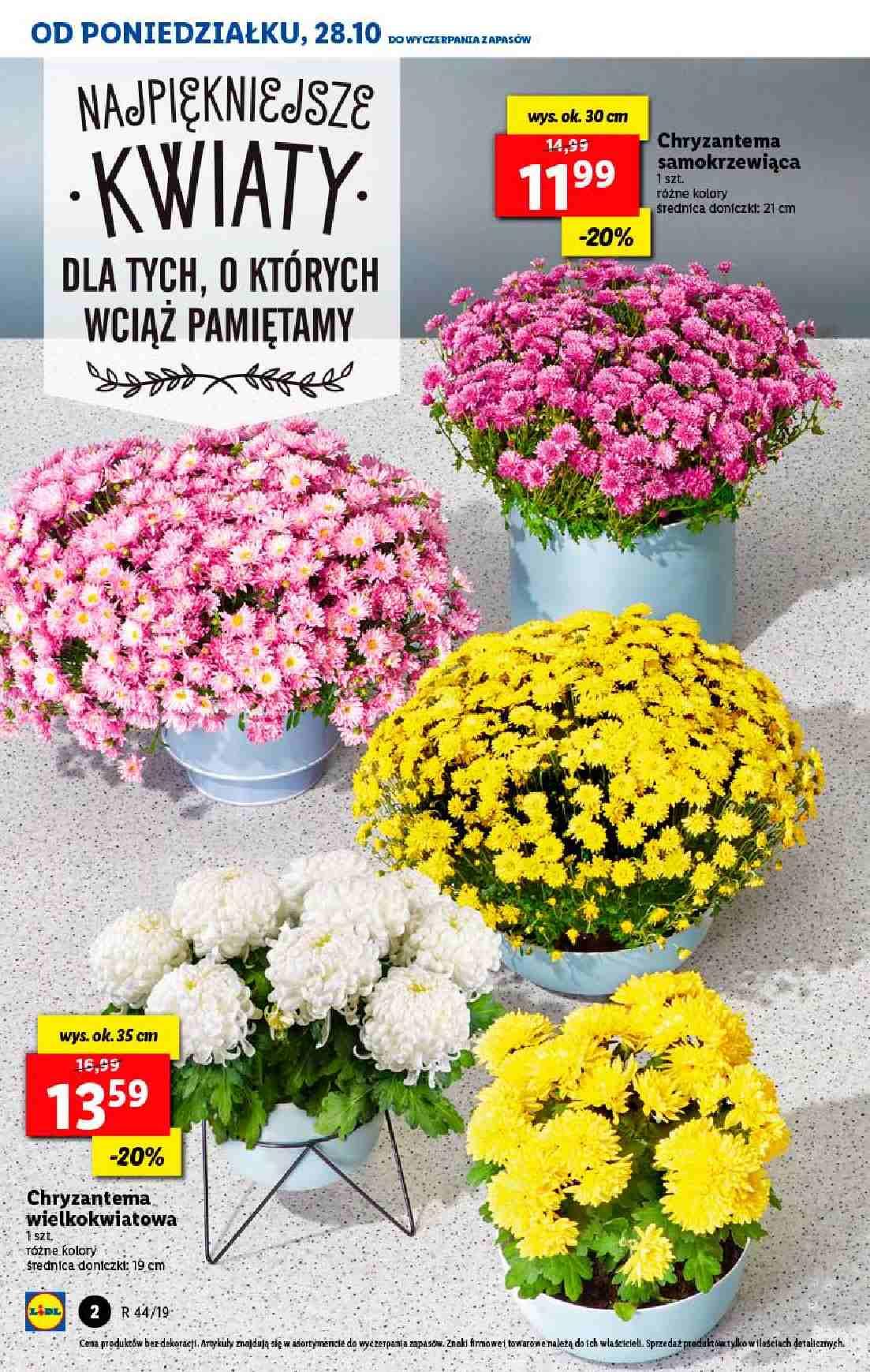 Gazetka promocyjna Lidl str. 2