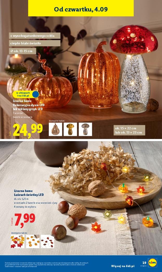 Gazetka promocyjna Lidl str. 31