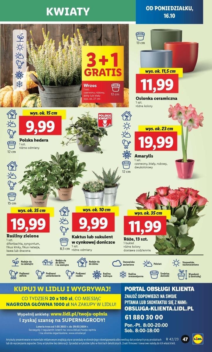 Gazetka promocyjna Lidl str. 57