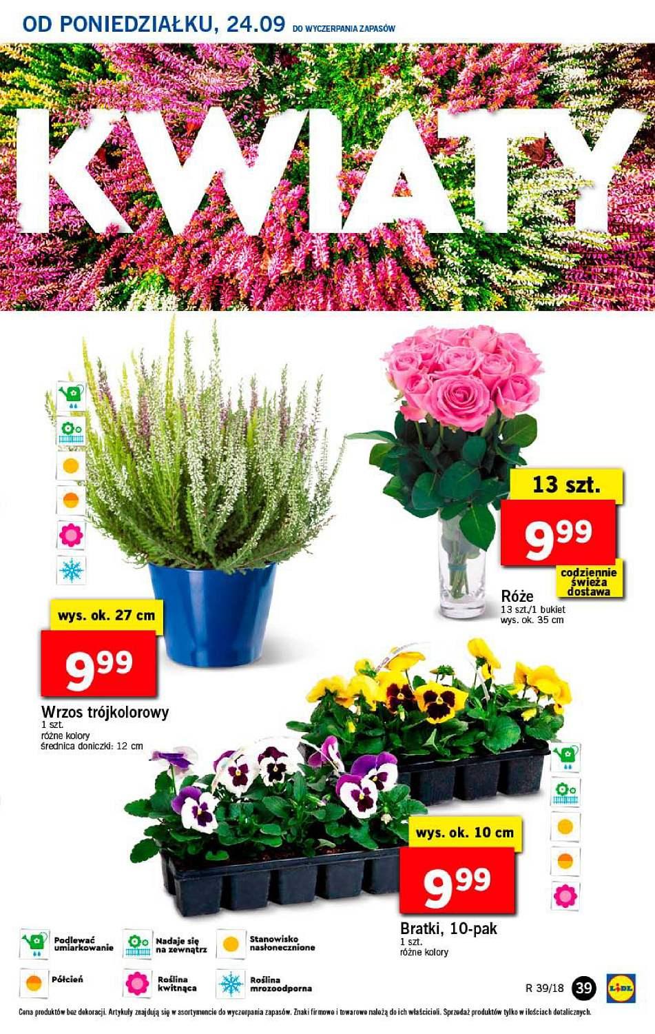 Gazetka promocyjna Lidl str. 39