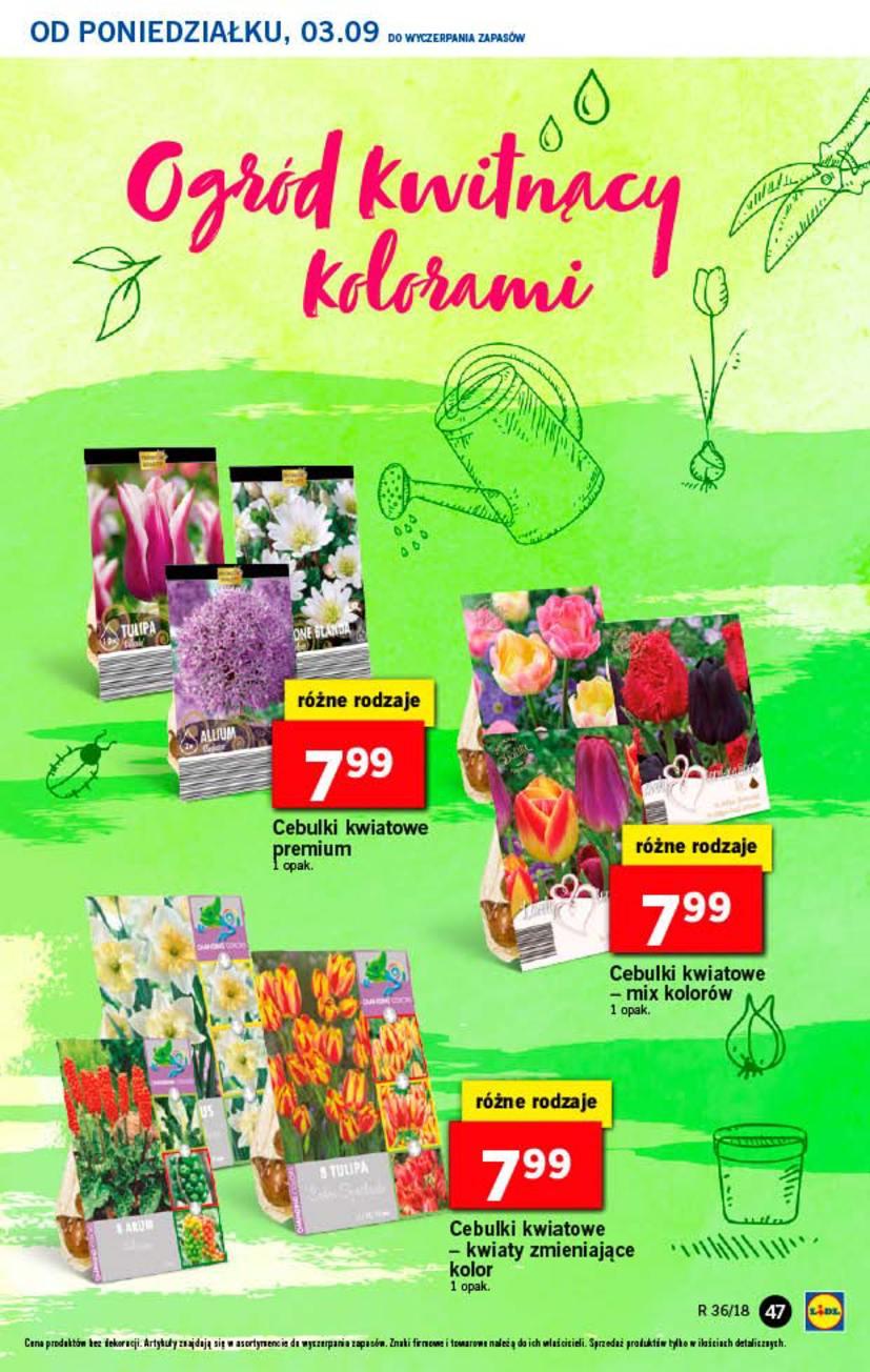 Gazetka promocyjna Lidl str. 47