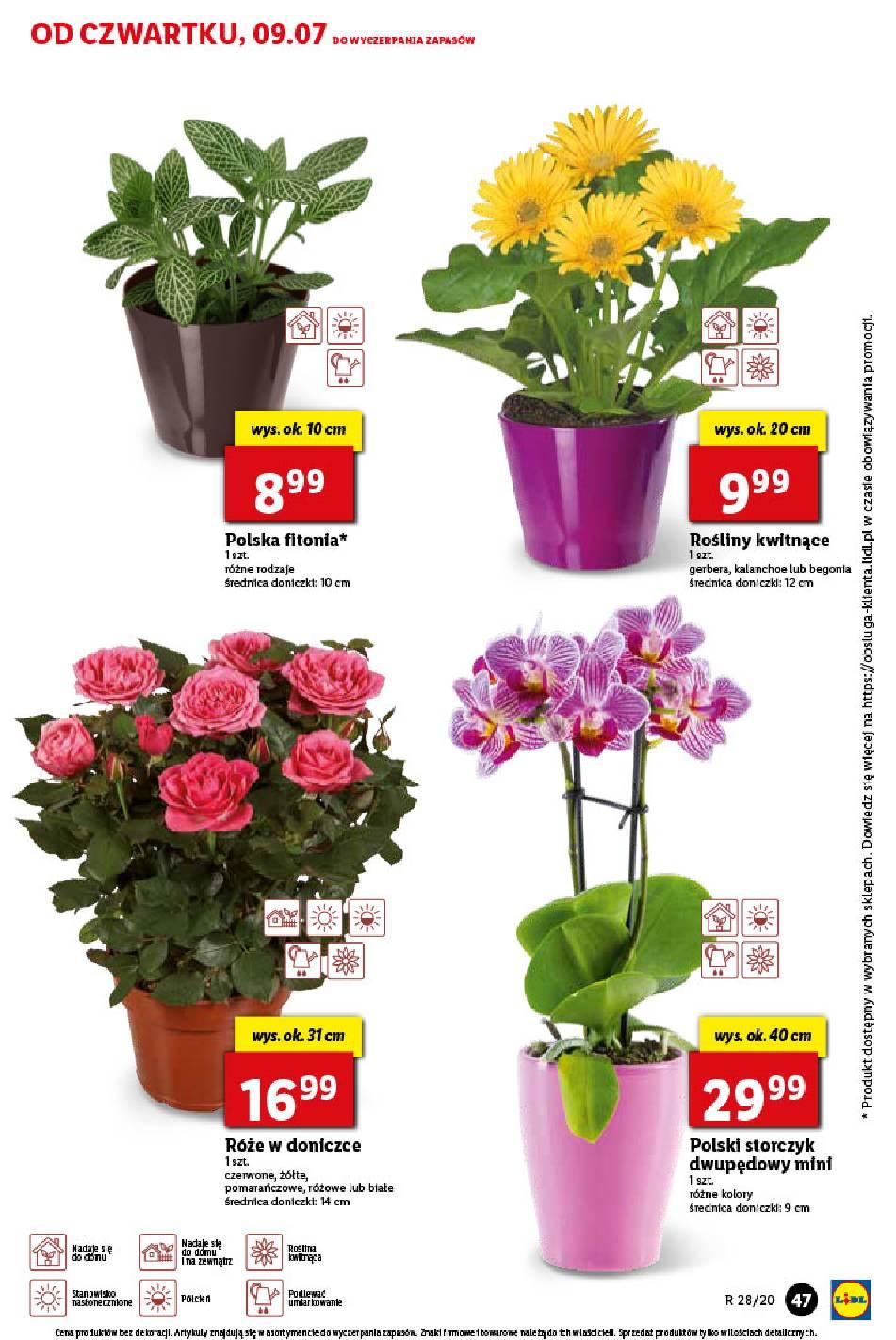 Gazetka promocyjna Lidl str. 47