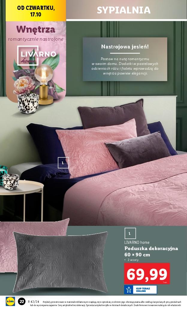 Gazetka promocyjna Lidl str. 24