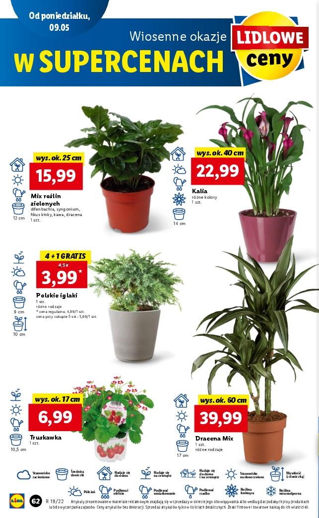 Gazetka promocyjna Lidl str. 62