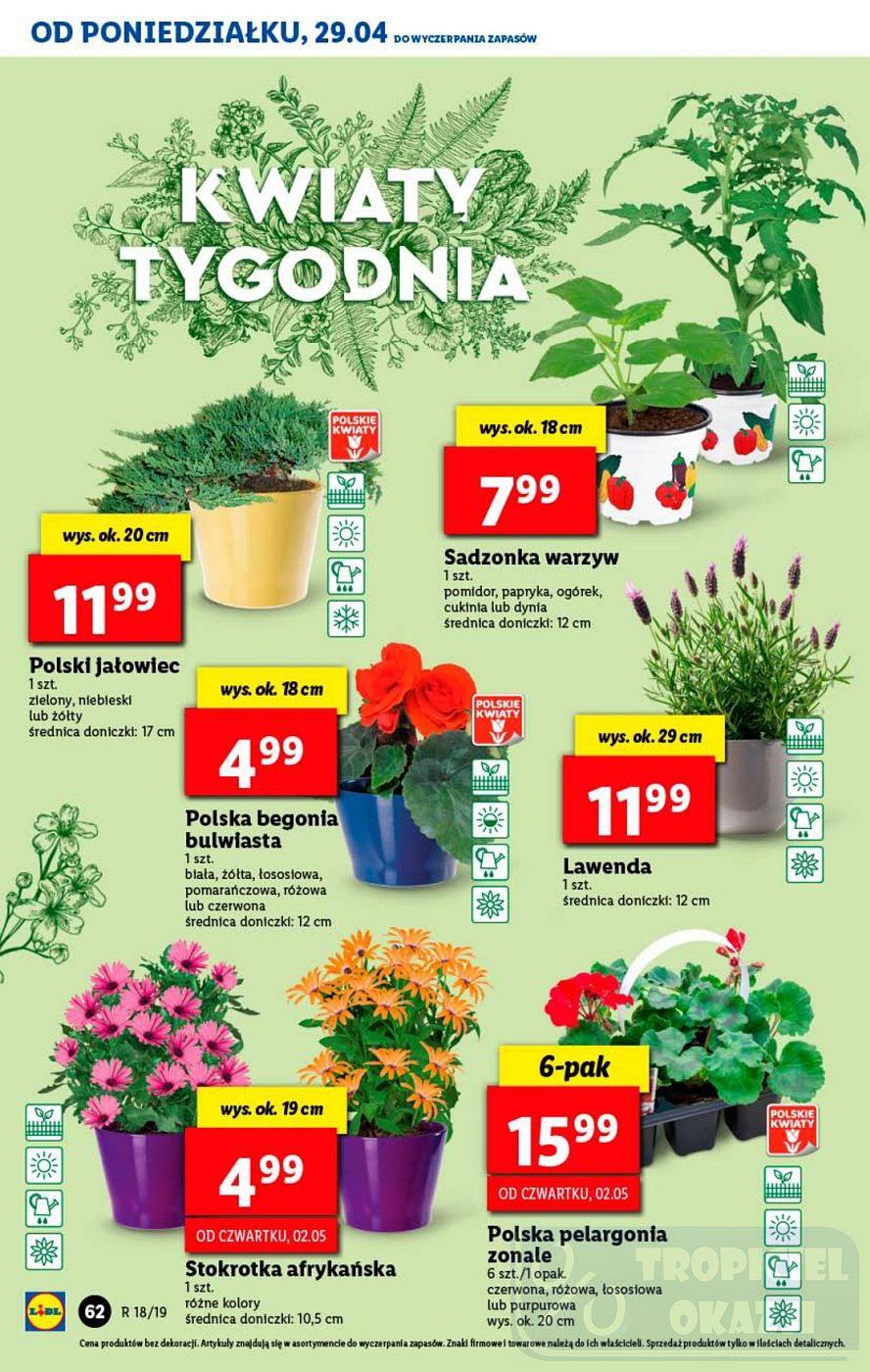 Gazetka promocyjna Lidl str. 62
