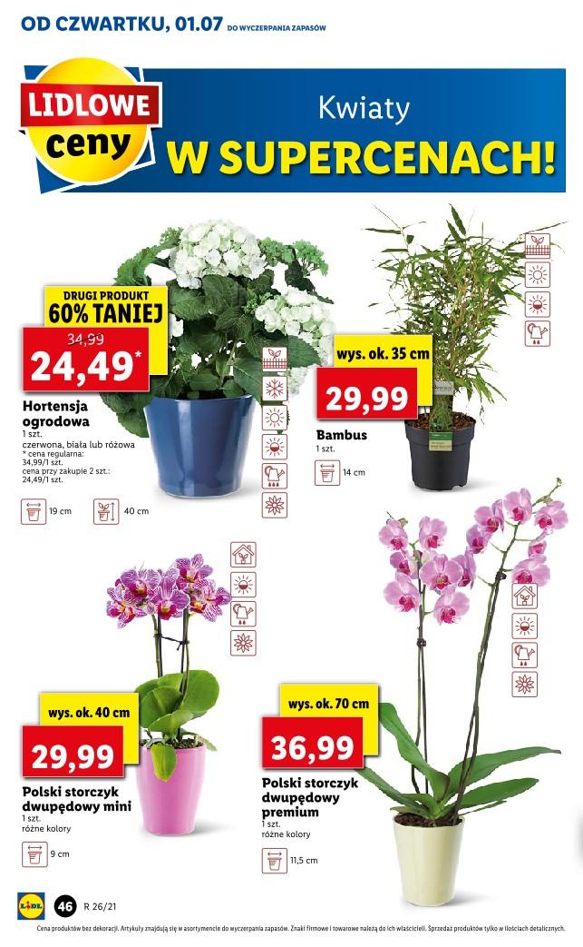 Gazetka promocyjna Lidl str. 46