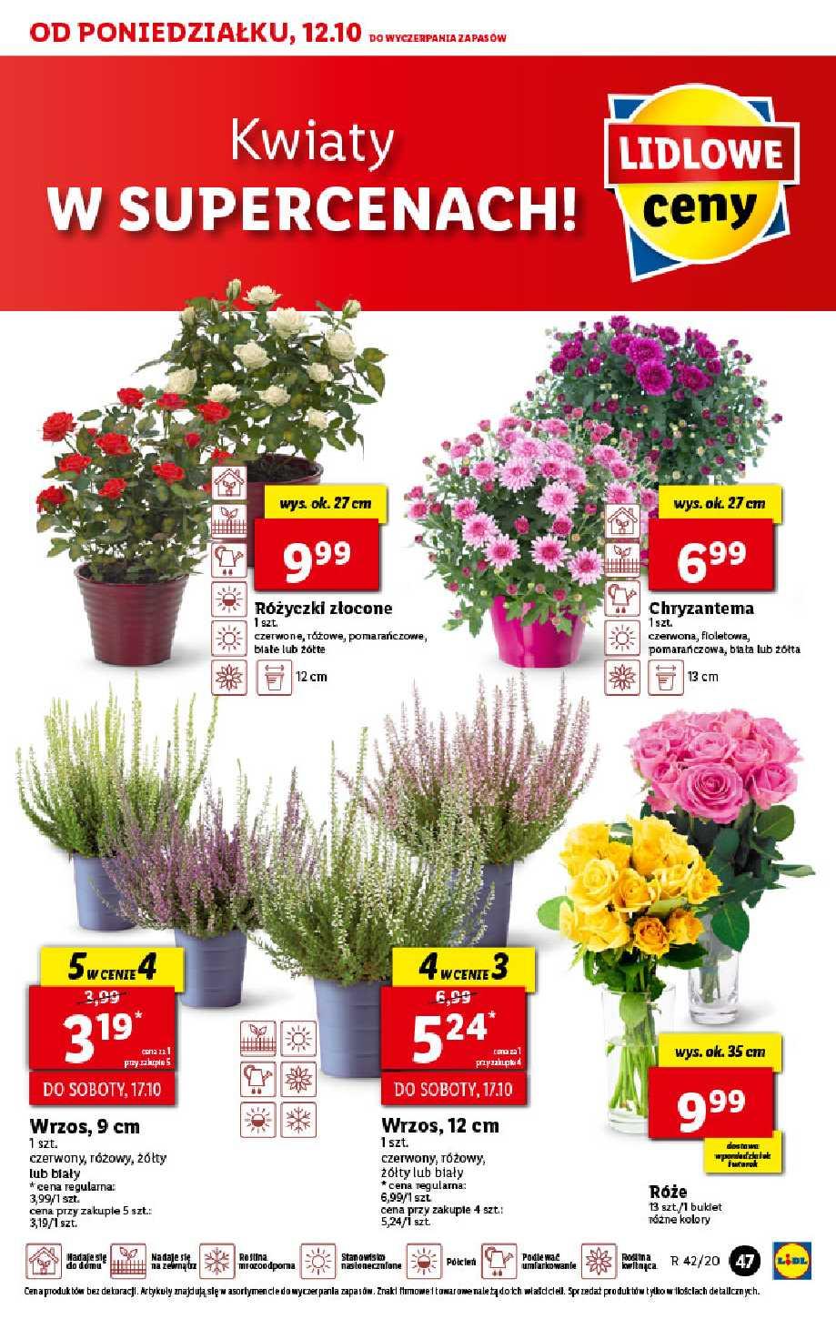 Gazetka promocyjna Lidl str. 47