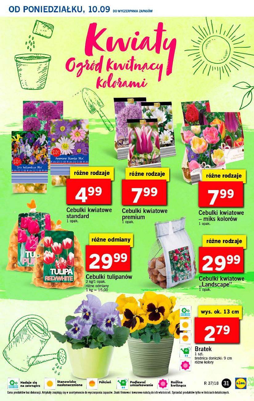 Gazetka promocyjna Lidl str. 31