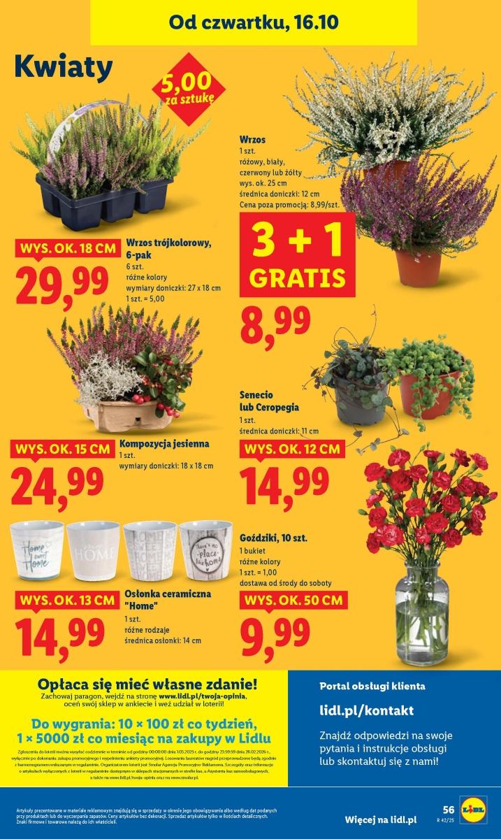 Gazetka promocyjna Lidl str. 59