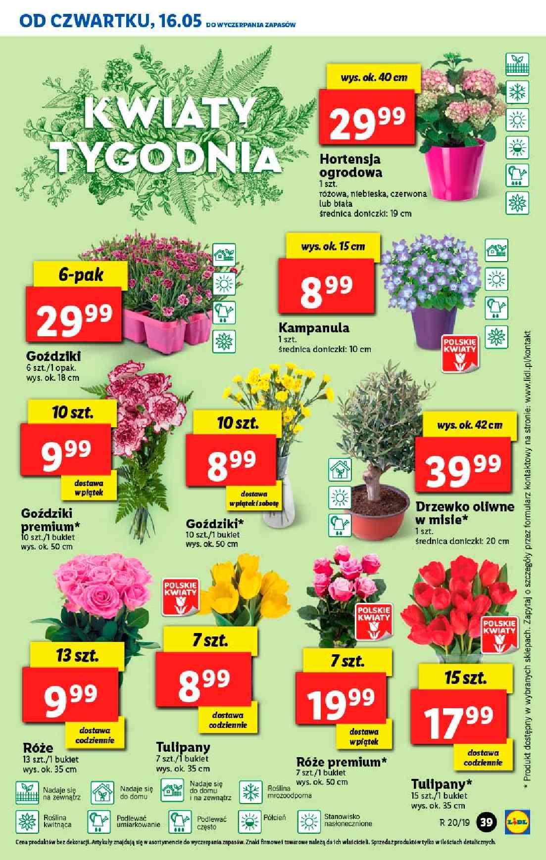 Gazetka promocyjna Lidl str. 39