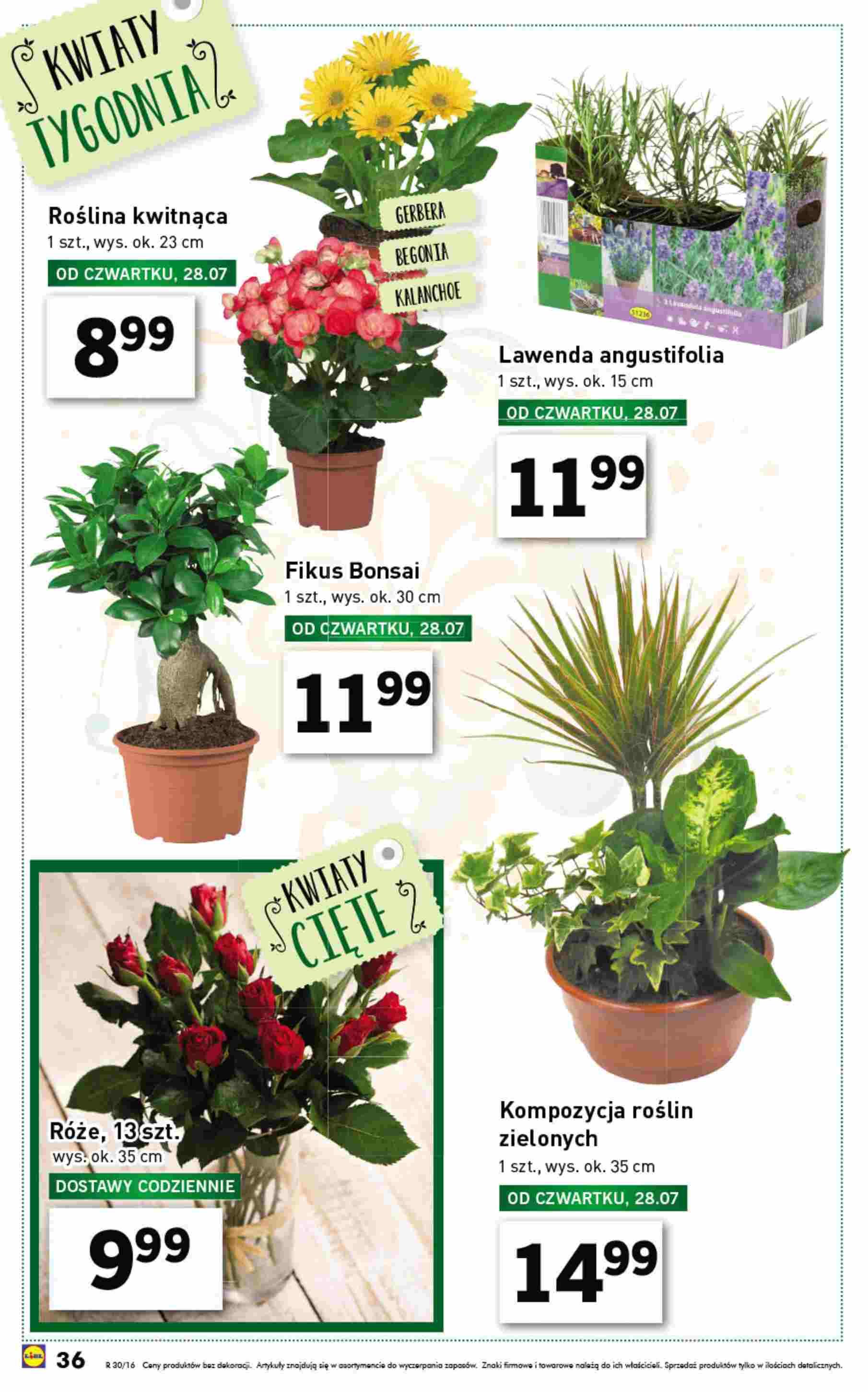 Gazetka promocyjna Lidl str. 36