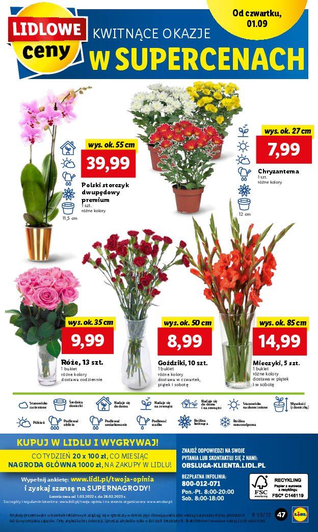 Gazetka promocyjna Lidl str. 47