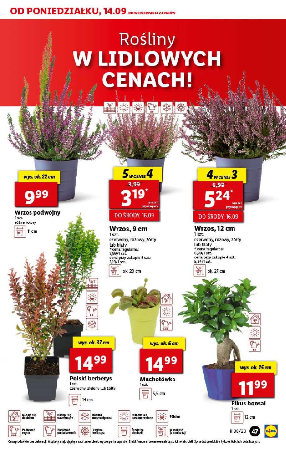 Gazetka promocyjna Lidl str. 47