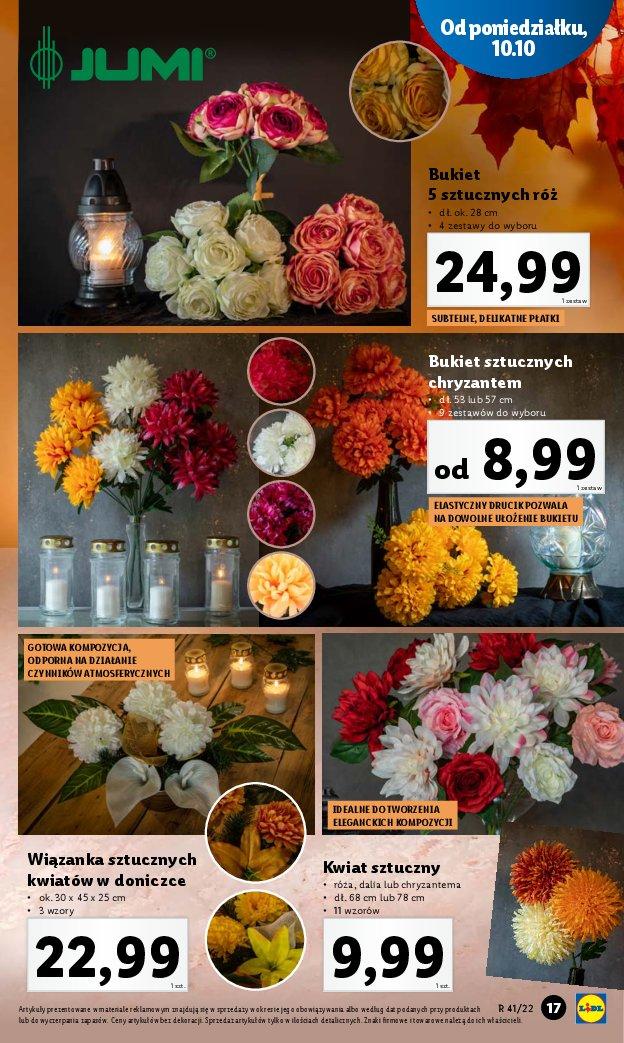 Gazetka promocyjna Lidl str. 17