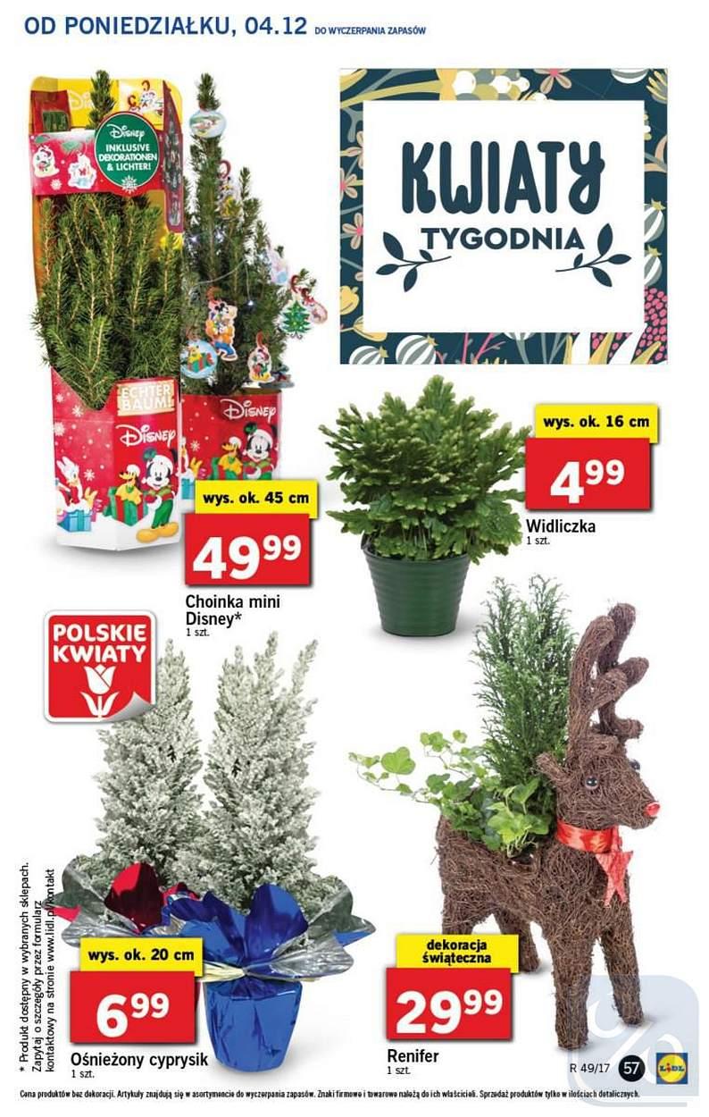 Gazetka promocyjna Lidl str. 57