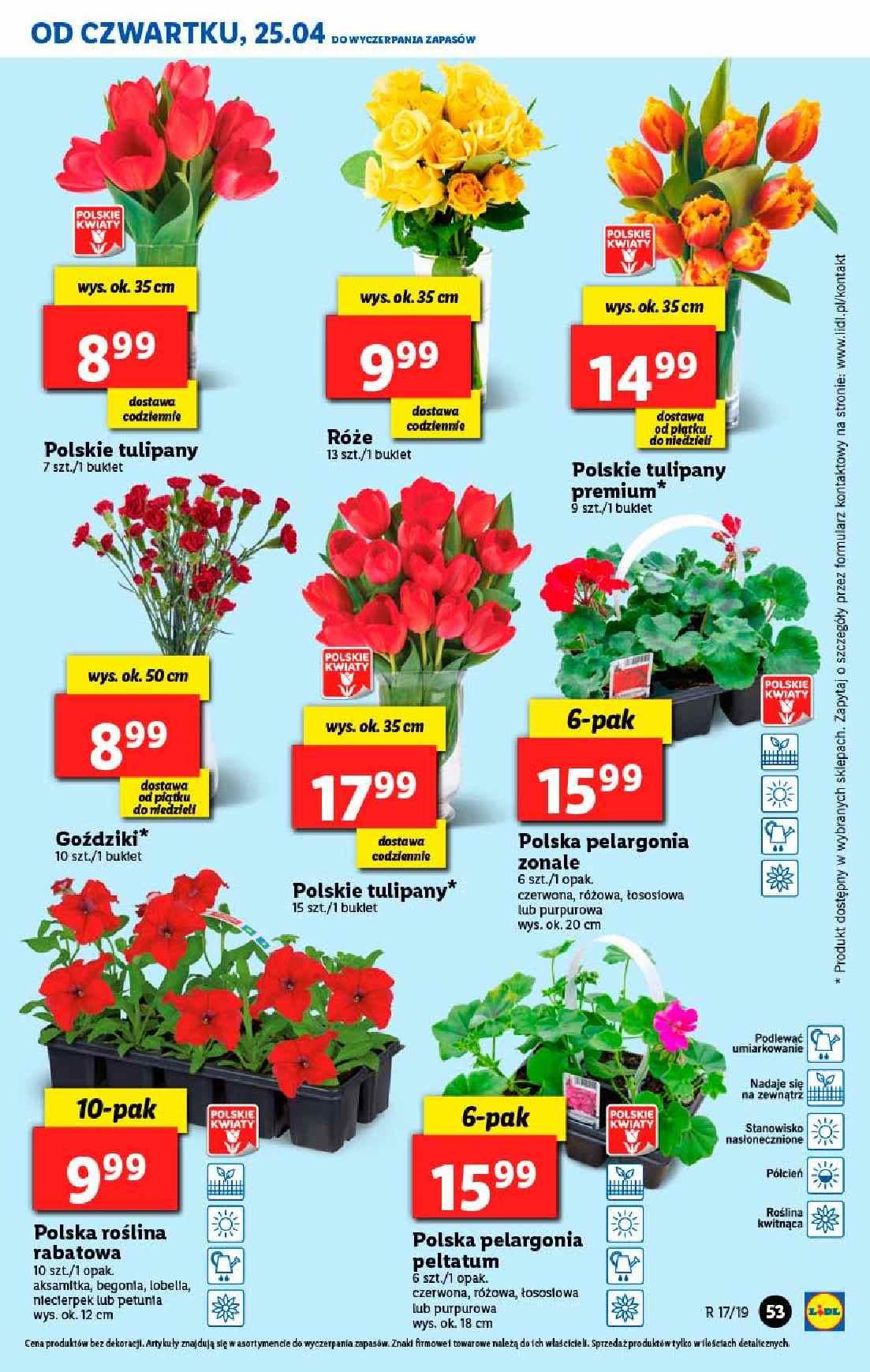 Gazetka promocyjna Lidl str. 53