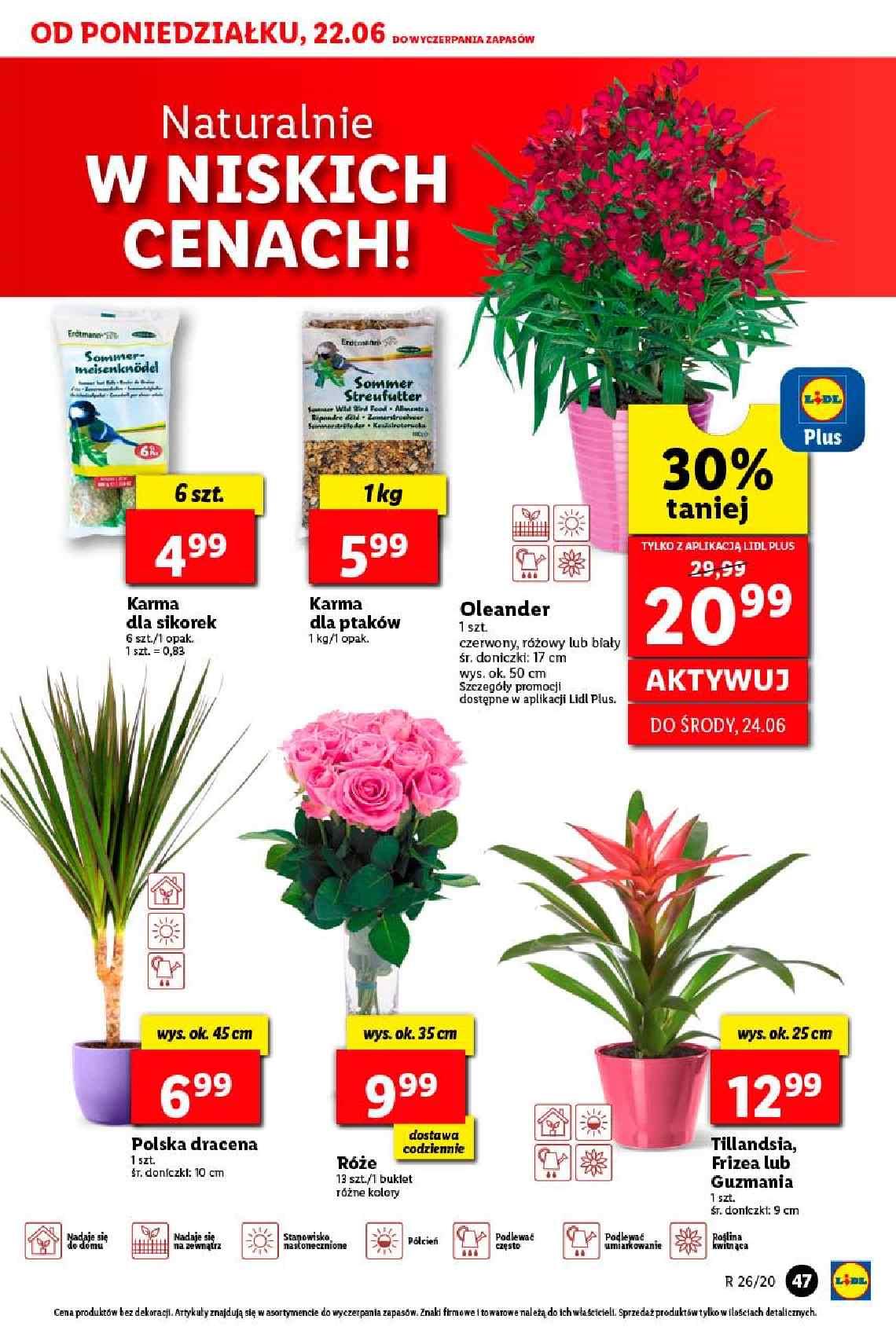 Gazetka promocyjna Lidl str. 47