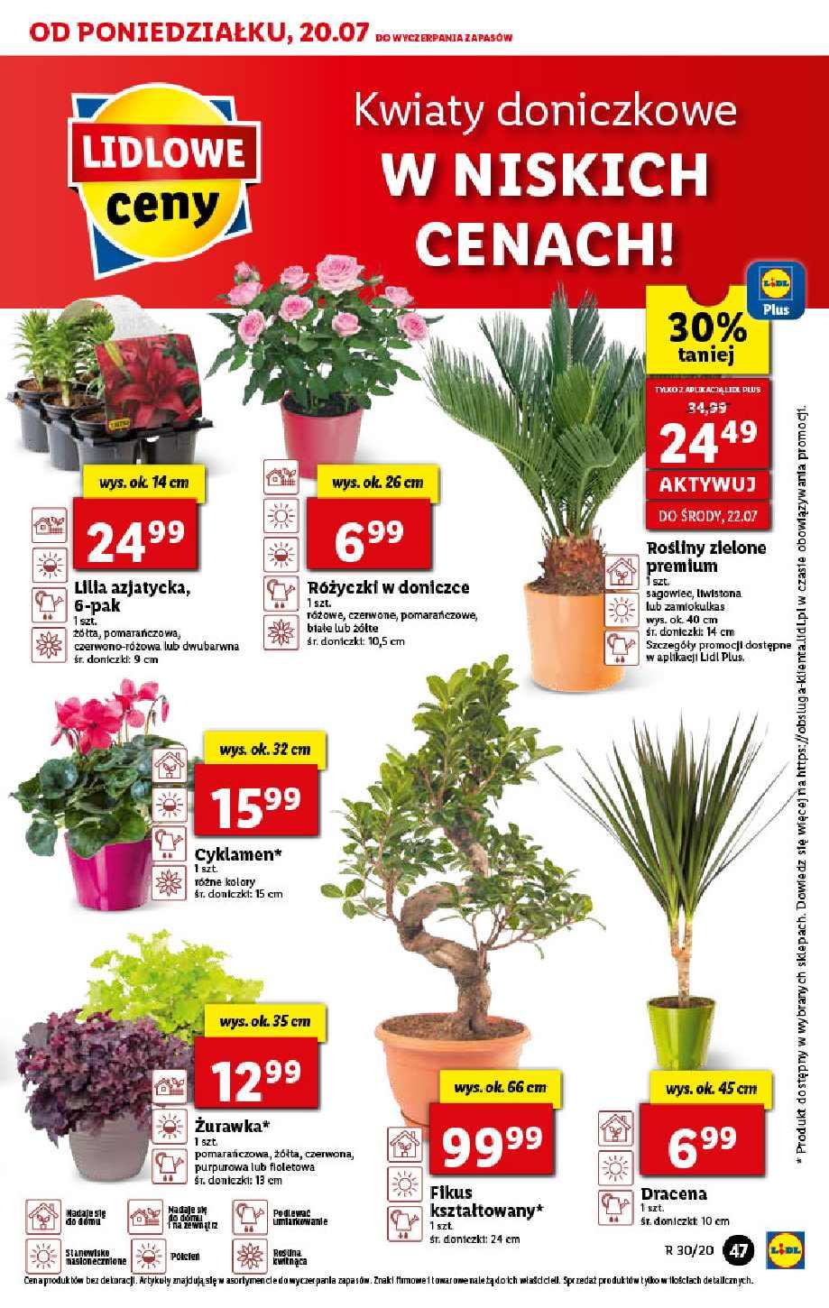 Gazetka promocyjna Lidl str. 47