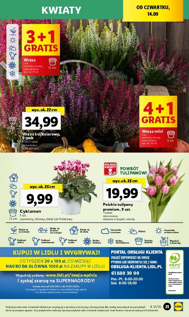 Gazetka promocyjna Lidl str. 43