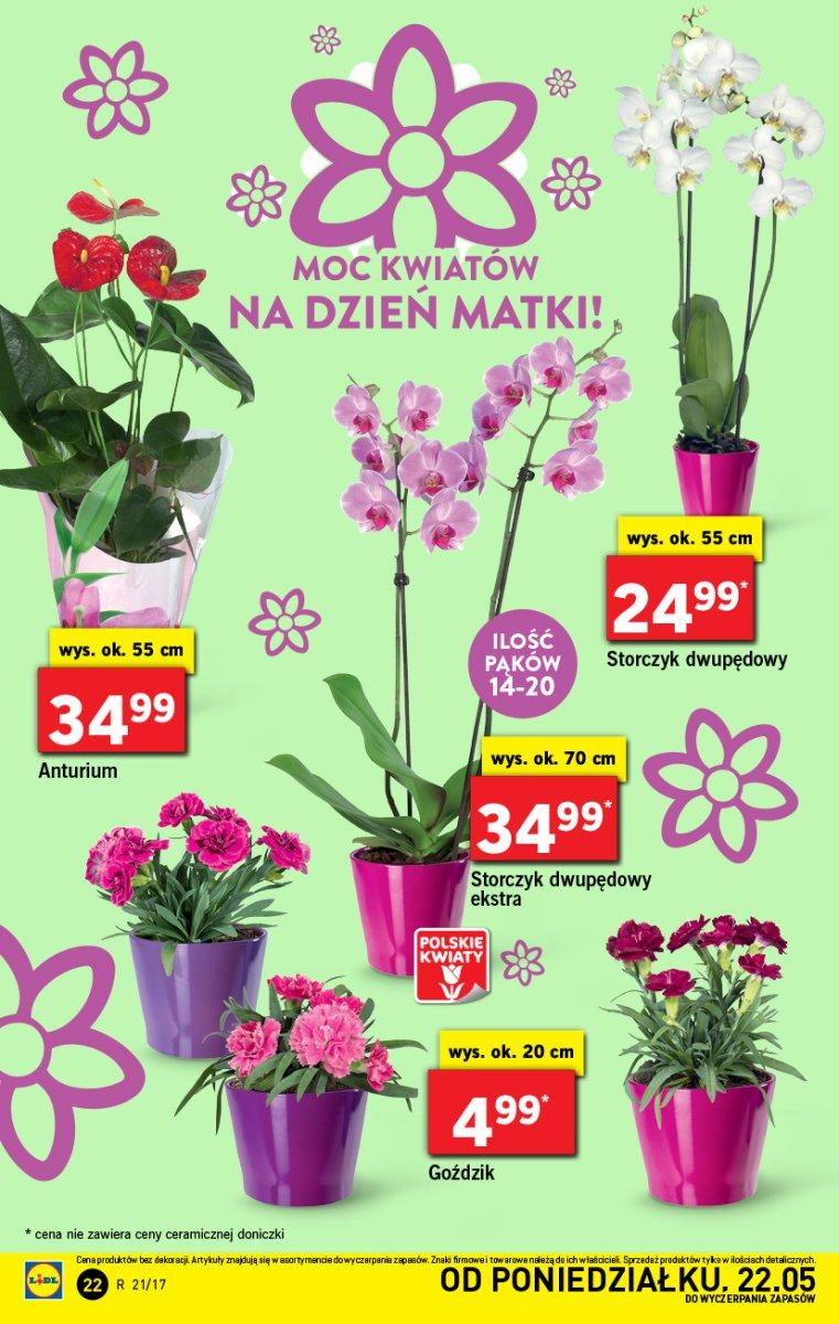 Gazetka promocyjna Lidl str. 22