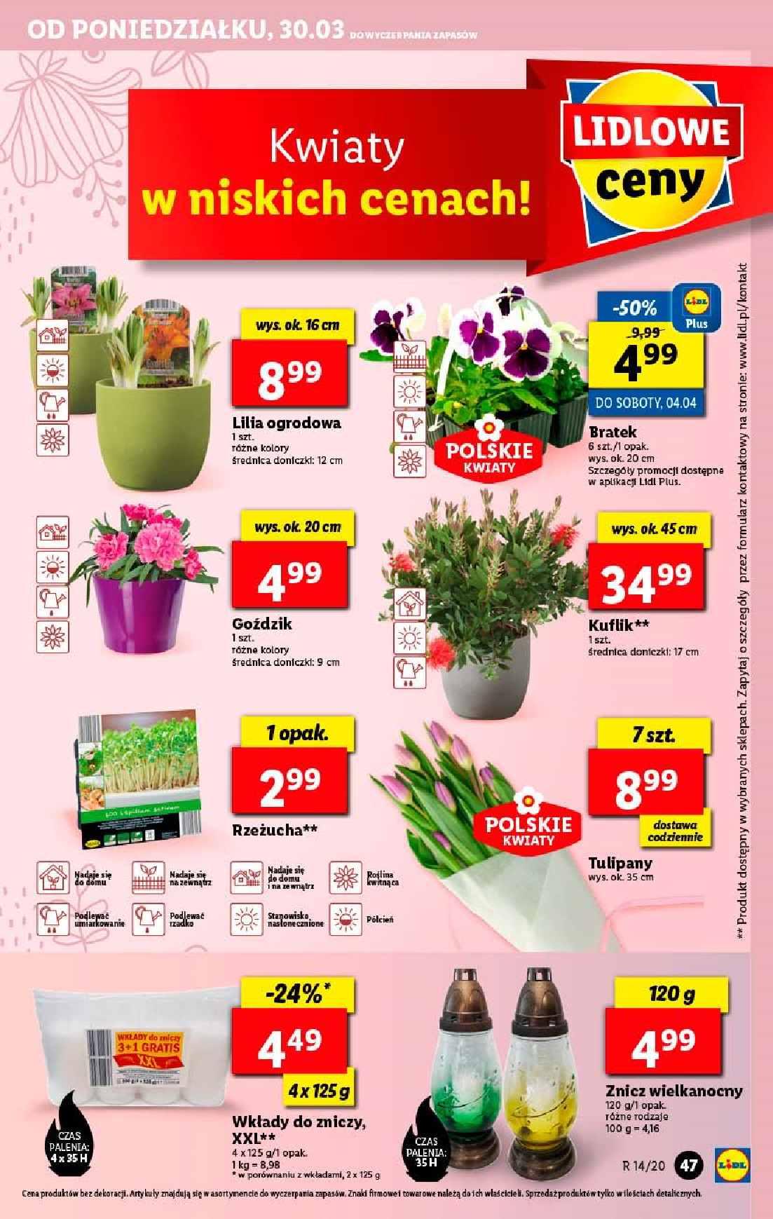 Gazetka promocyjna Lidl str. 47