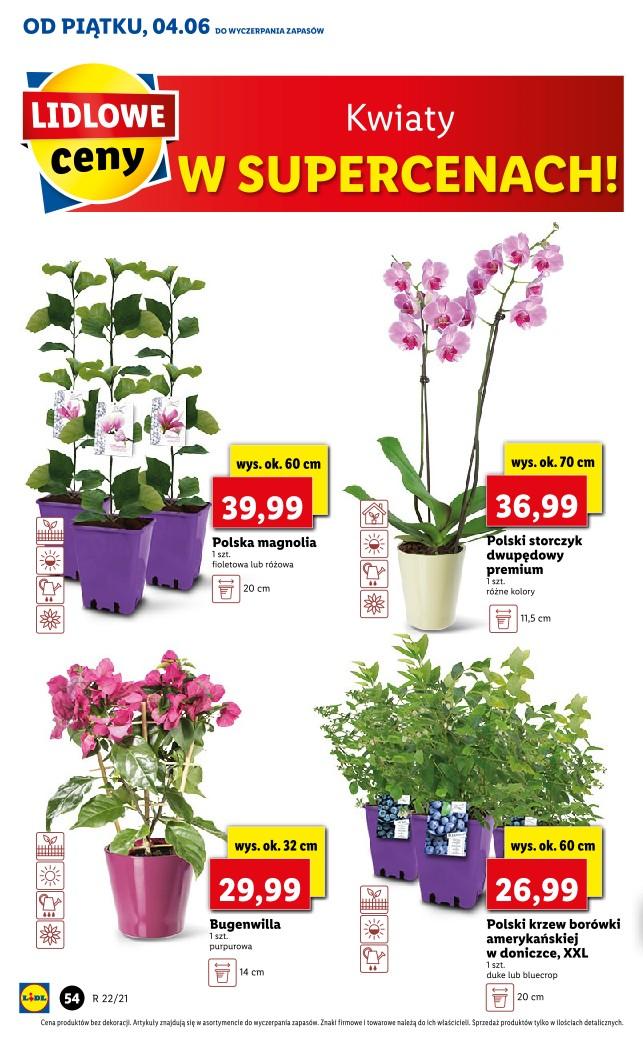 Gazetka promocyjna Lidl str. 54