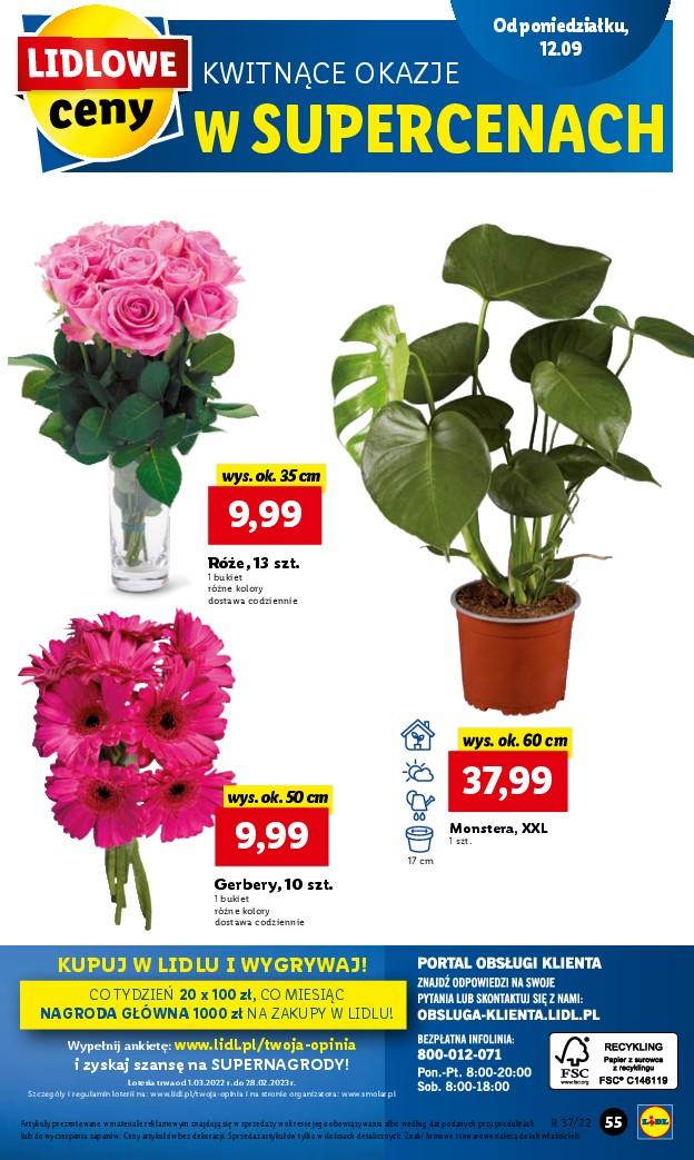 Gazetka promocyjna Lidl str. 55