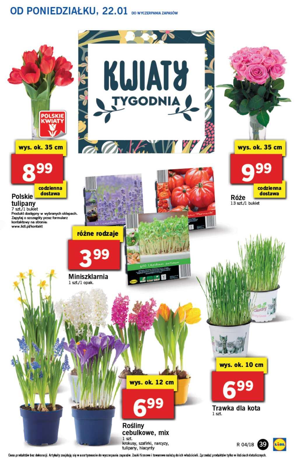 Gazetka promocyjna Lidl str. 39