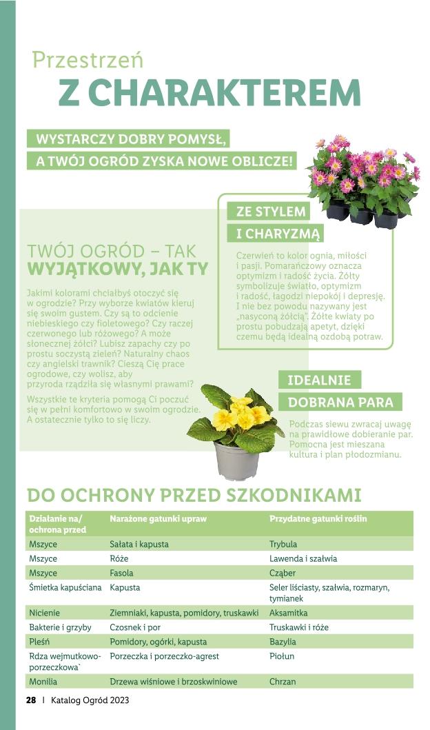 Gazetka promocyjna Lidl str. 28